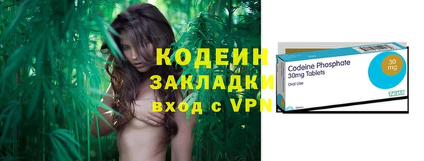 ECSTASY Алзамай