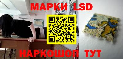 прущие грибы Мариинск