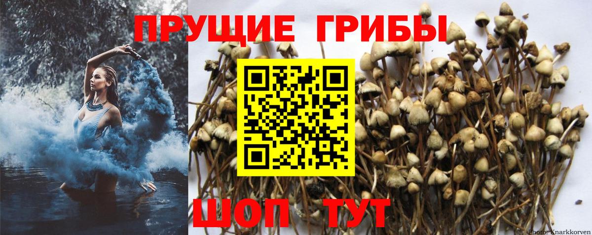 Иркутск  Галлюциногенные грибы ЛСД  Вход с VPN  Псилоцибиновые грибы мухоморы 